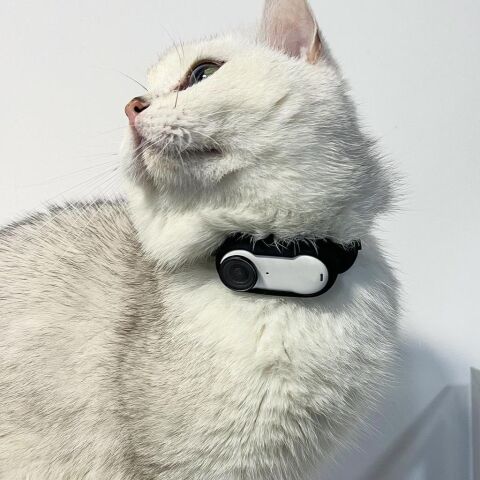 Sunnylife Insta360 GO 3 Çok Amaçlı Silikon Kamera Kayışı ve Koruyucu Kılıf