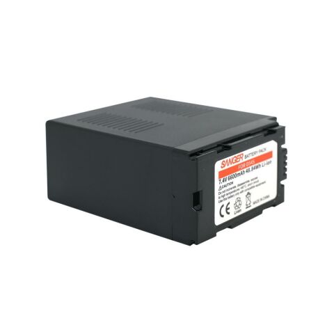Sanger CGR-D54S Panasonic Kamera Batarya