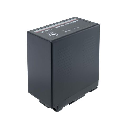 Sanger CGR-D54S Panasonic Kamera Batarya