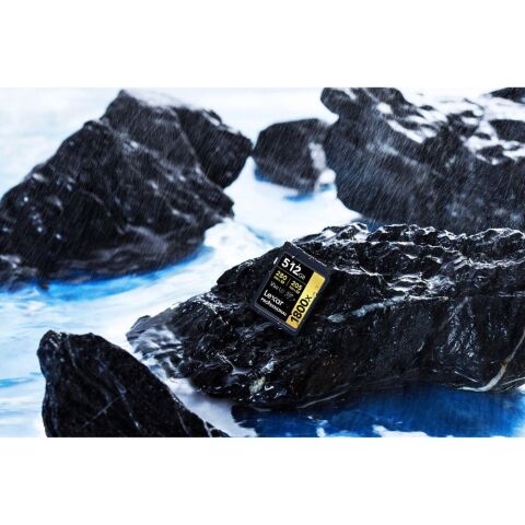 Lexar Professional 512GB 280 MB/s Gold SD Hafıza Kartı