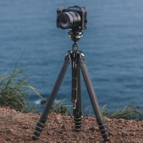 Falcam TreeRoot Quick Lock Travel Tripod (R141K-320P) T00A4301