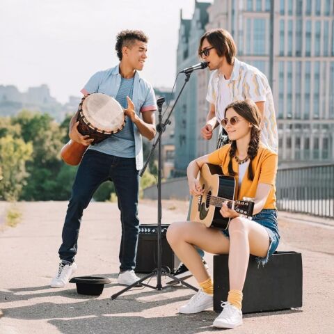 Camten AA-17 Professional Mikrofon Standı