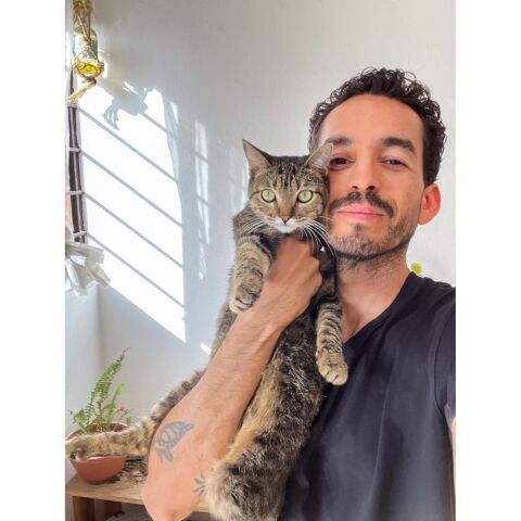 Polaroid Hi Print 4x6 Kağıt Kartuşu - 80'li