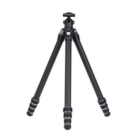 FALCAM TreeRoot Quick Lock Lite Carbon Fiber Travel Tripod F38 Ball Head - T00A4903