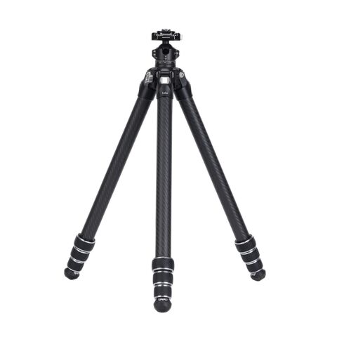 FALCAM TreeRoot Quick Lock Lite Carbon Fiber Travel Tripod F38 Ball Head - T00A4903