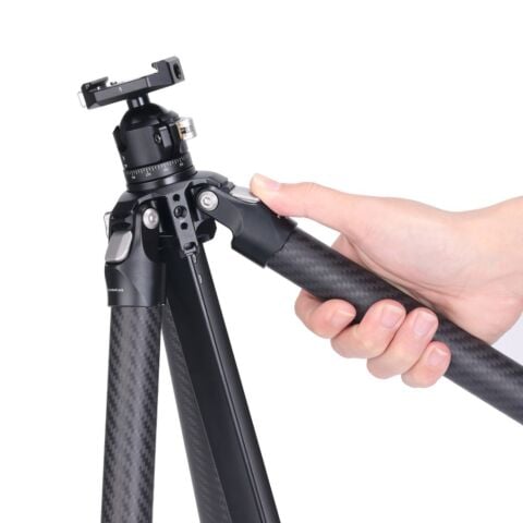 FALCAM TreeRoot Quick Lock Lite Carbon Fiber Travel Tripod F38 Ball Head - T00A4903