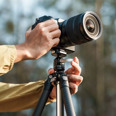FALCAM TreeRoot Quick Lock Lite Carbon Fiber Travel Tripod F38 Ball Head - T00A4903