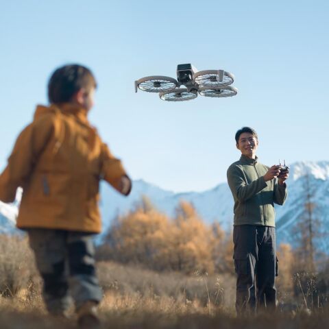 DJI Flip (DJI RC 2) (GL)